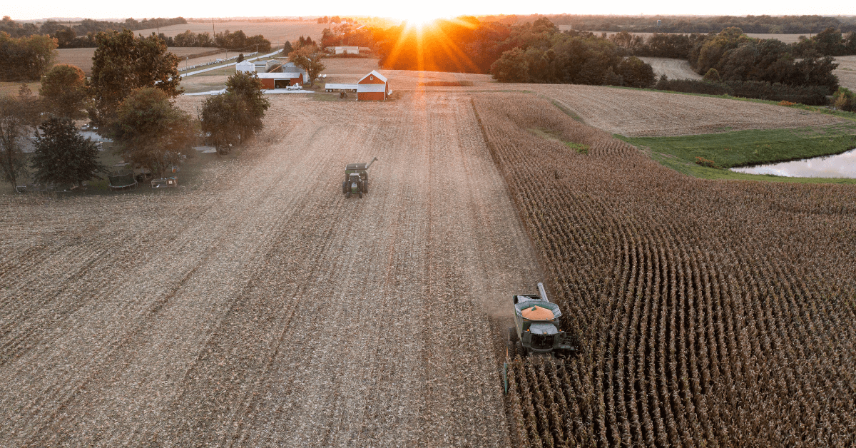 Land Auctions Explained: A Guide to Understanding the Land Auction Process